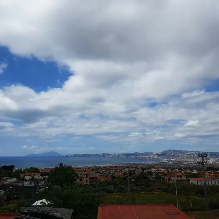 La Mariposa De La Reina Ercolano